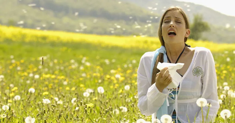 Les allergies : image, photo d'une personne, une femme éternuant dans un champ de fleurs au printemps.